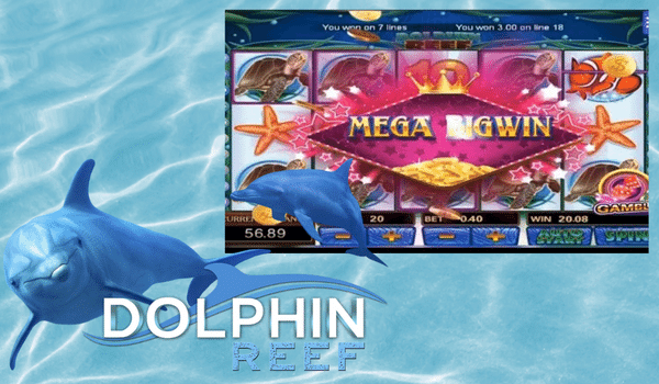 Jackpot Winning Tips Dolphin Reef Slot